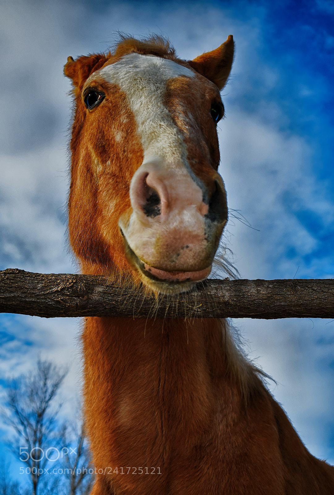 Nikon D3400 sample photo. Untitled photography