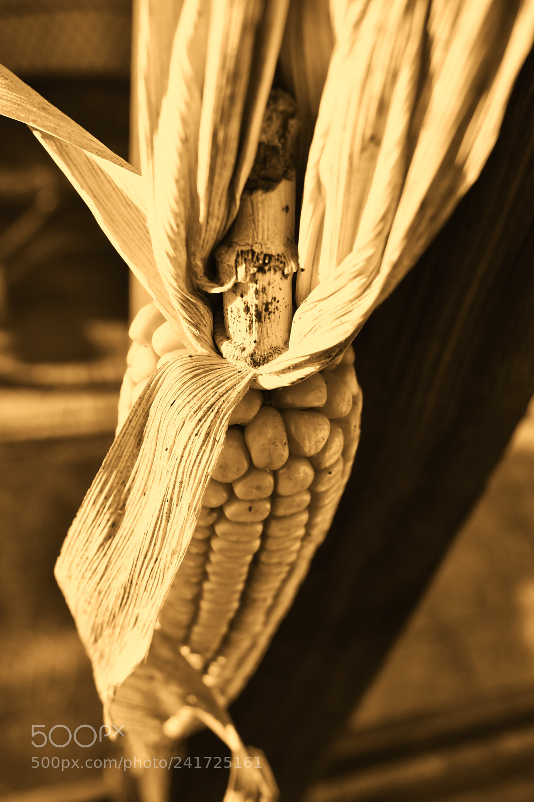 Nikon D3400 sample photo. Untitled photography