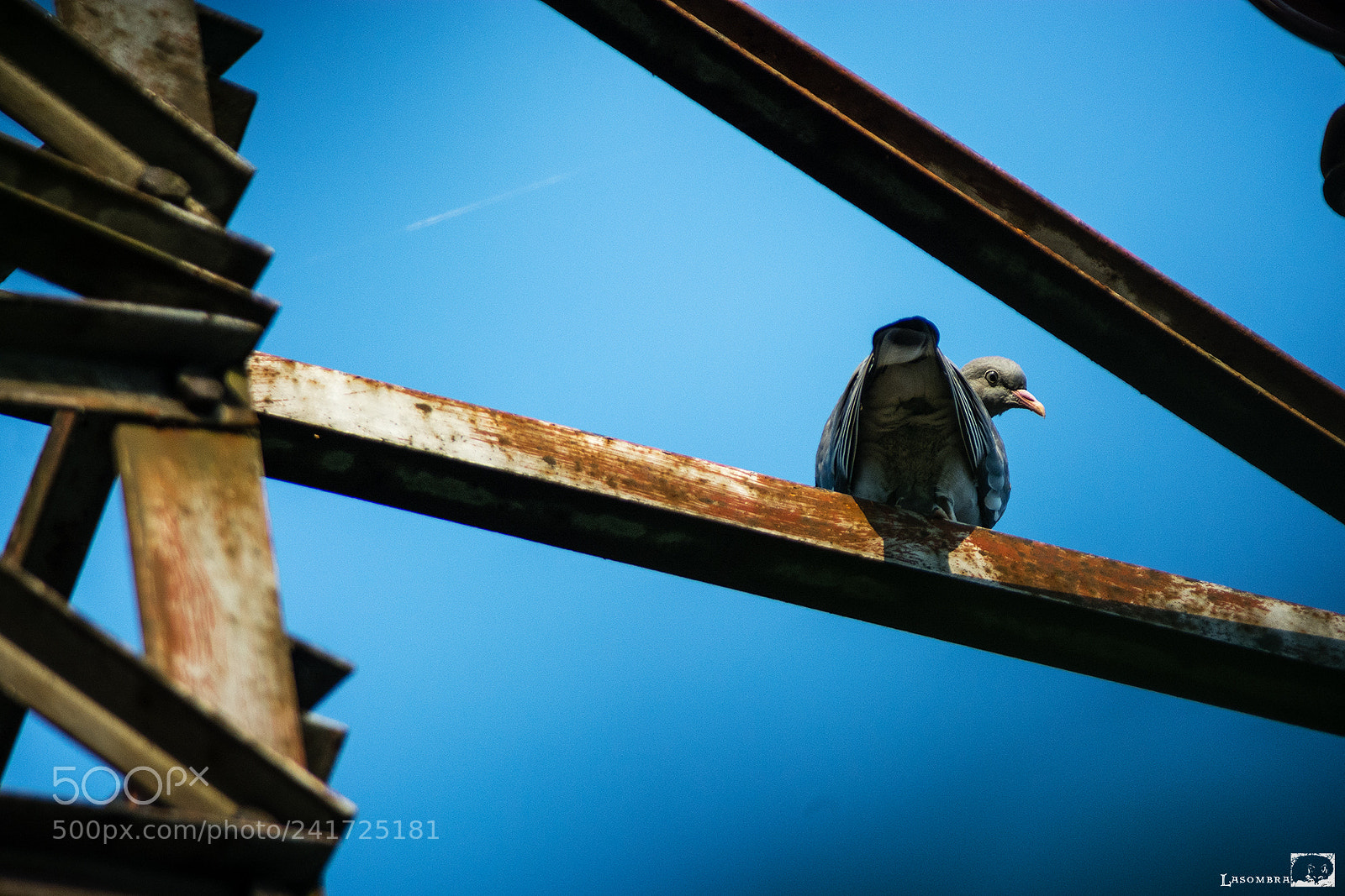 Nikon D7100 sample photo. No title photography