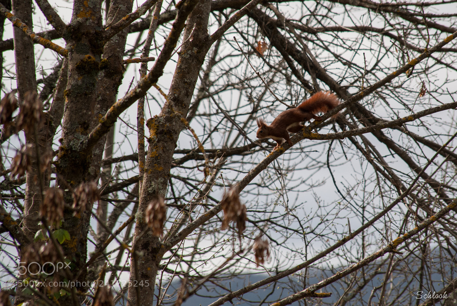 Nikon D80 sample photo. Tic et tac photography