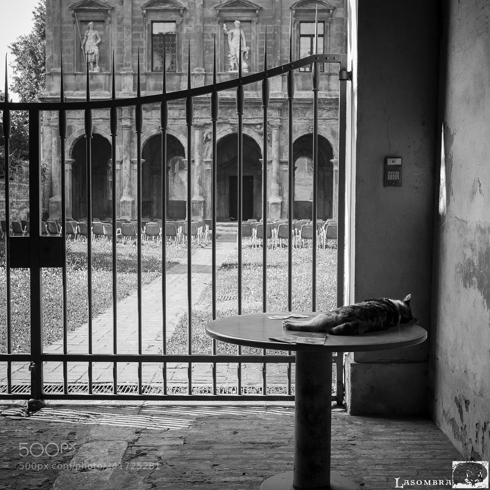 Olympus OM-D E-M10 sample photo. Padova - 2016 photography