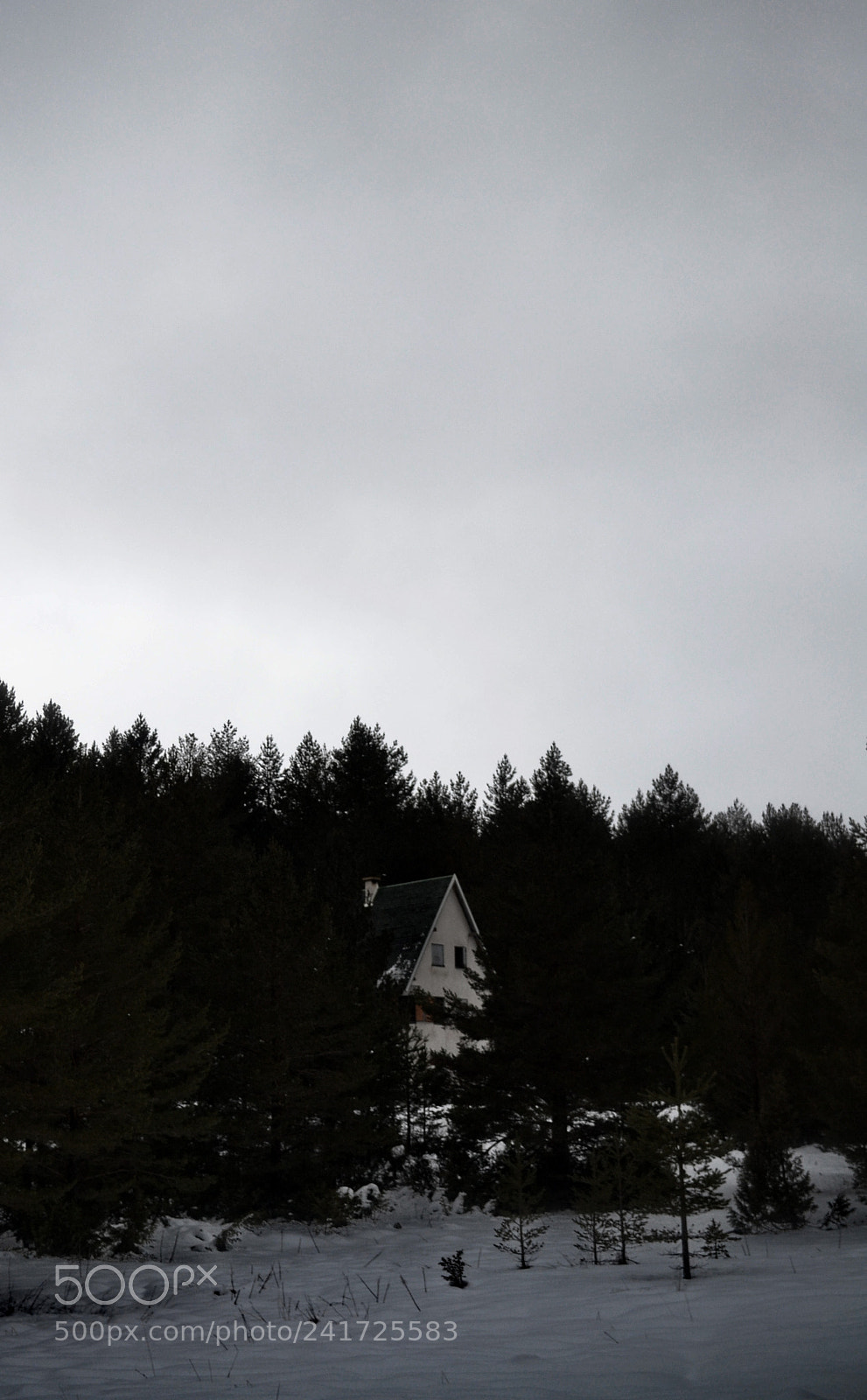 Nikon D3100 sample photo. Alone photography
