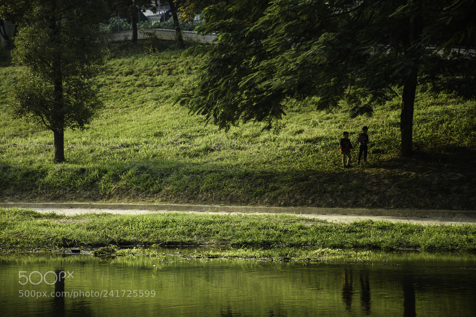Nikon D7200 sample photo. Play photography