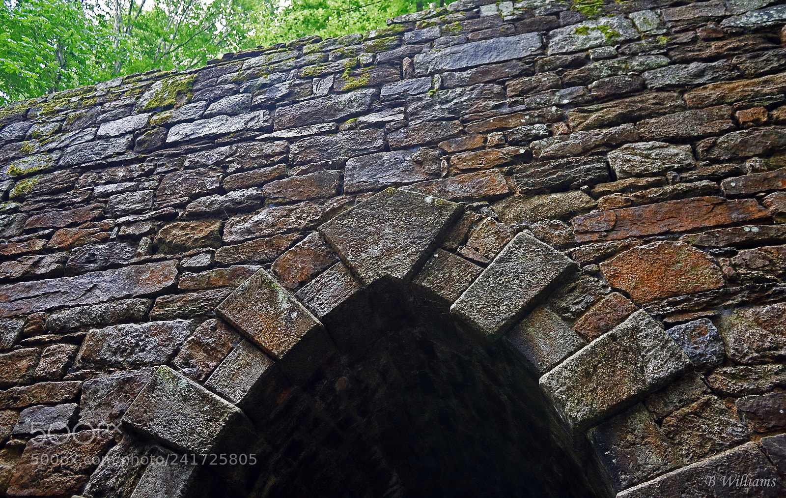 Canon EOS 60D sample photo. Gothic arch at poinsett photography