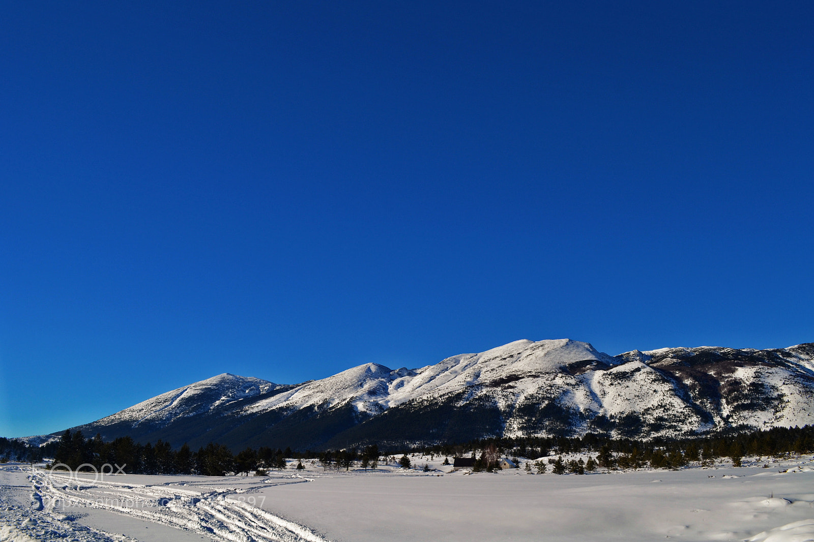 Nikon D3100 sample photo. Sunny photography