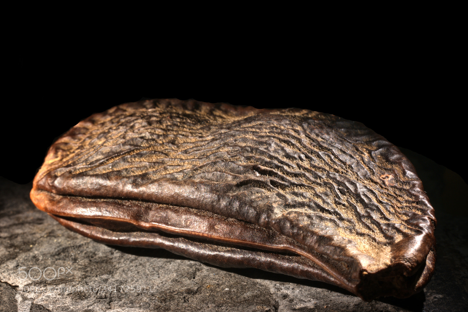 Sony a6300 sample photo. Wrinkled tiliqua and black photography