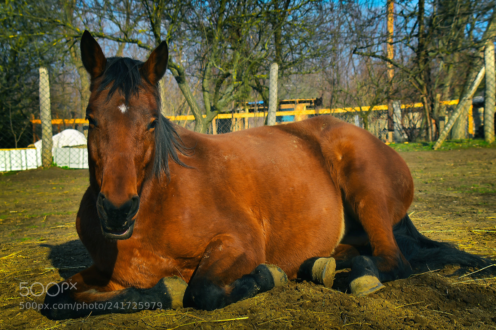 Nikon D3400 sample photo. Untitled photography