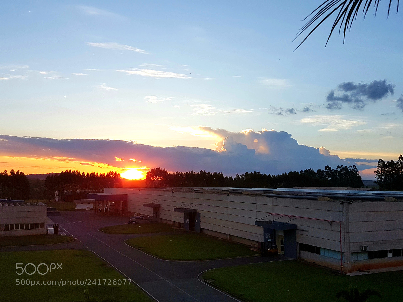 Samsung Galaxy S7 sample photo. Untitled photography