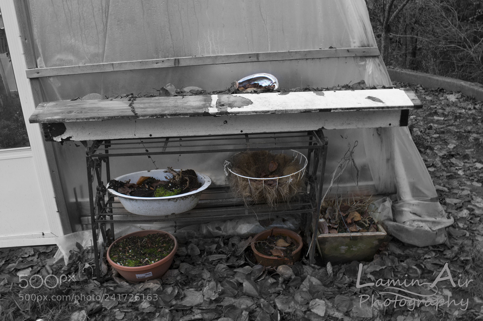 Nikon D3400 sample photo. Lamin air photogrophy photography