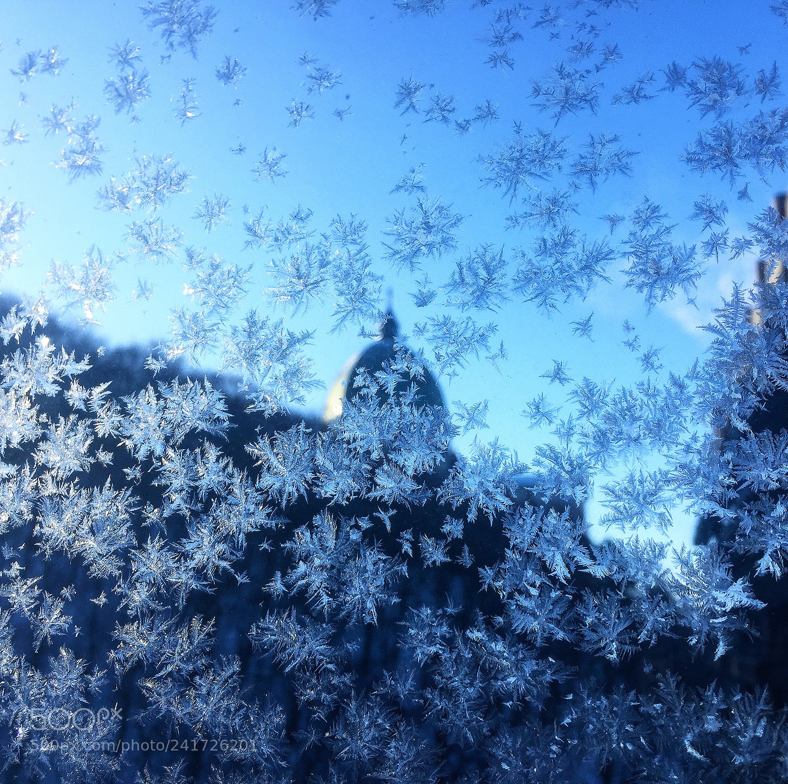Apple iPhone 6 sample photo. Snowflake photography