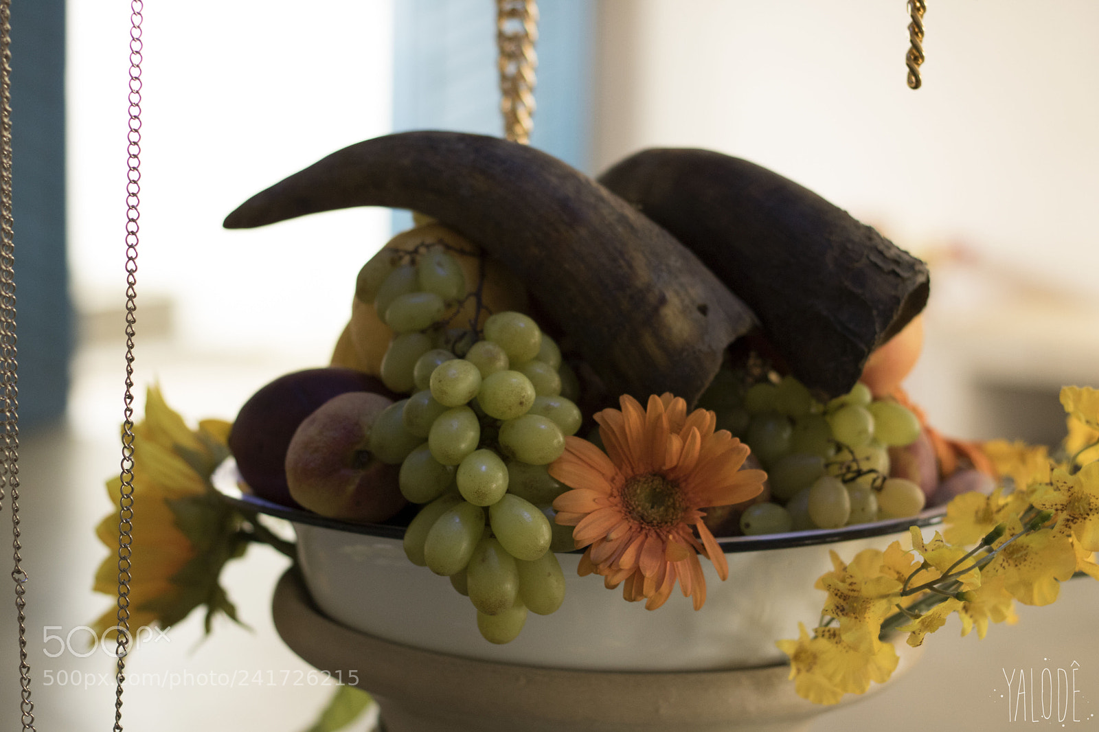 Canon EOS 750D (EOS Rebel T6i / EOS Kiss X8i) sample photo. Yab s irepo araketu photography