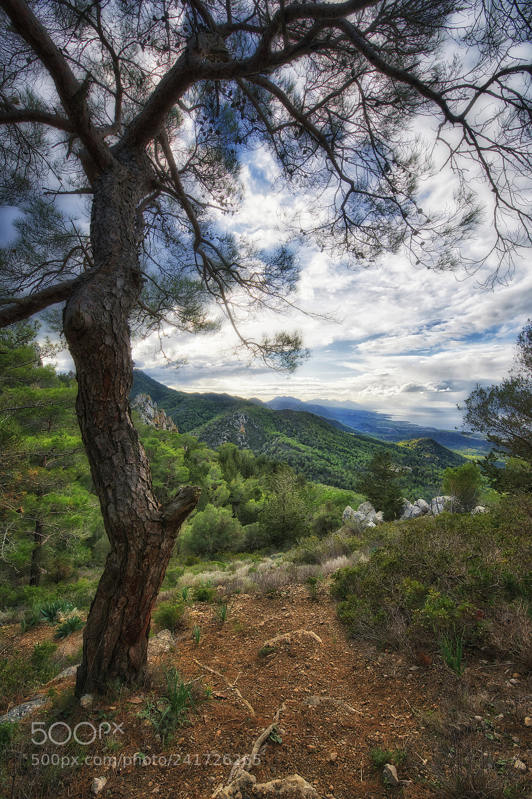 Nikon D800 sample photo. View from above photography