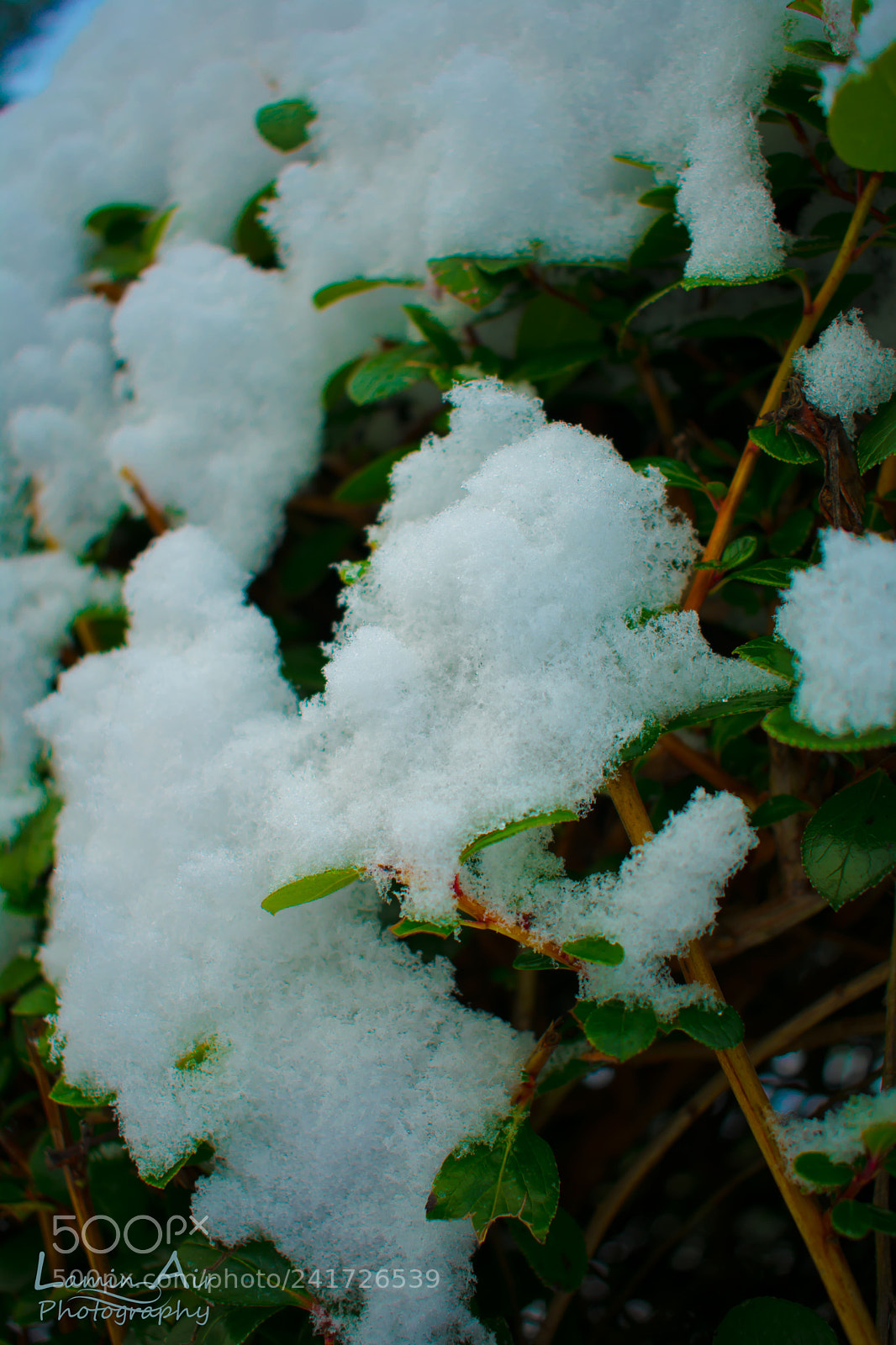 Nikon D3400 sample photo. Lamin air photogrophy photography