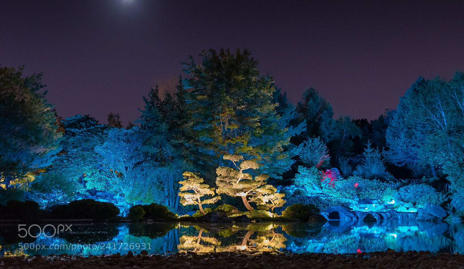 Nikon D5500 sample photo. Night at the jardins photography