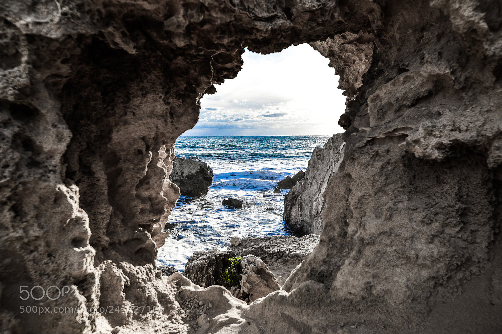 Nikon D5600 sample photo. Paradise photography