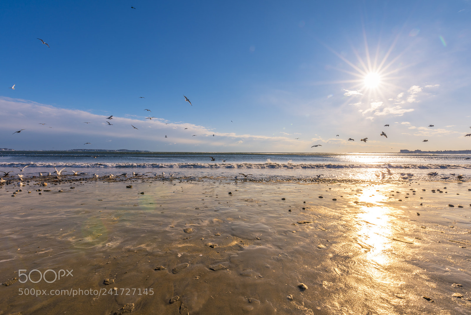Nikon D810 sample photo. Winter morning photography