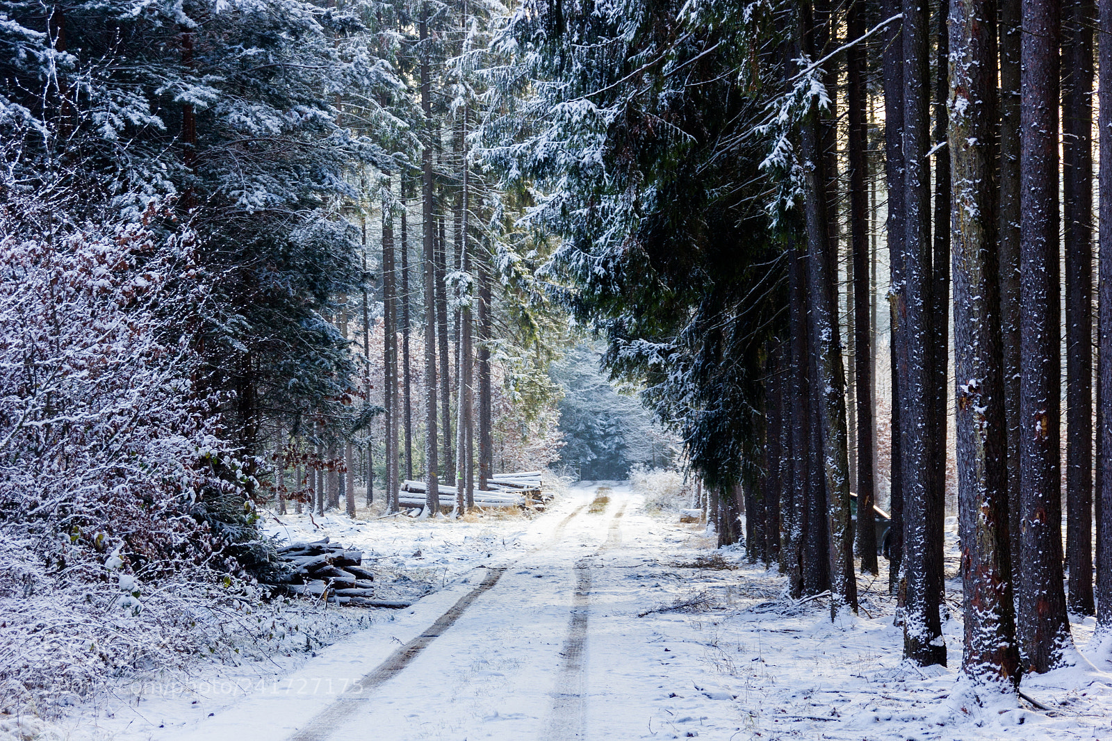 Canon EOS 550D (EOS Rebel T2i / EOS Kiss X4) sample photo. Countryside road in winter photography