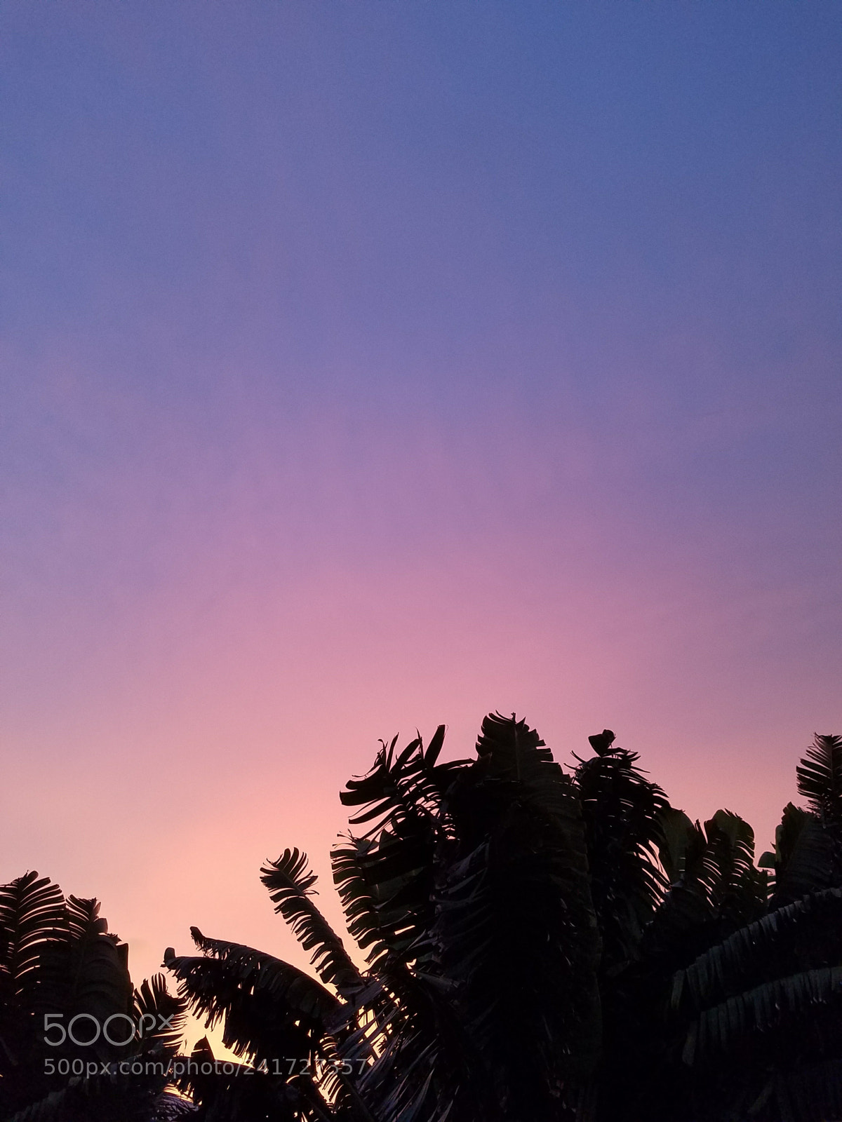 Samsung Galaxy S7 Edge sample photo. 20170630_203619.jpg photography