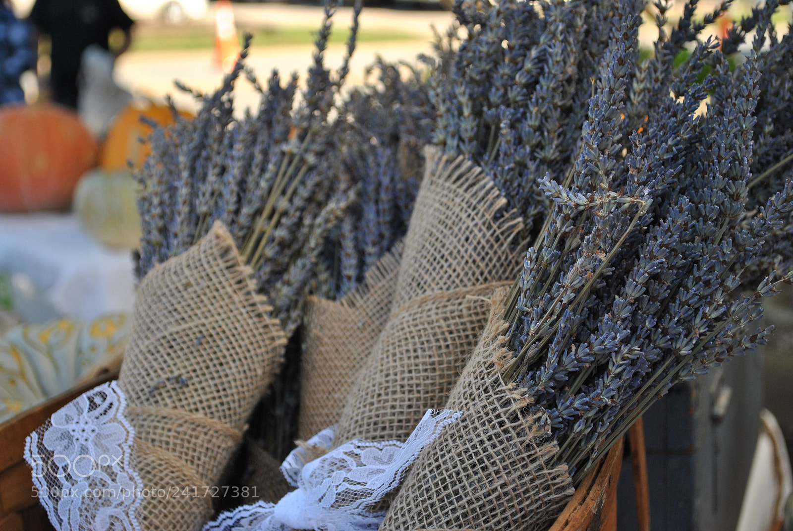 Nikon D3000 sample photo. Dried lavender photography