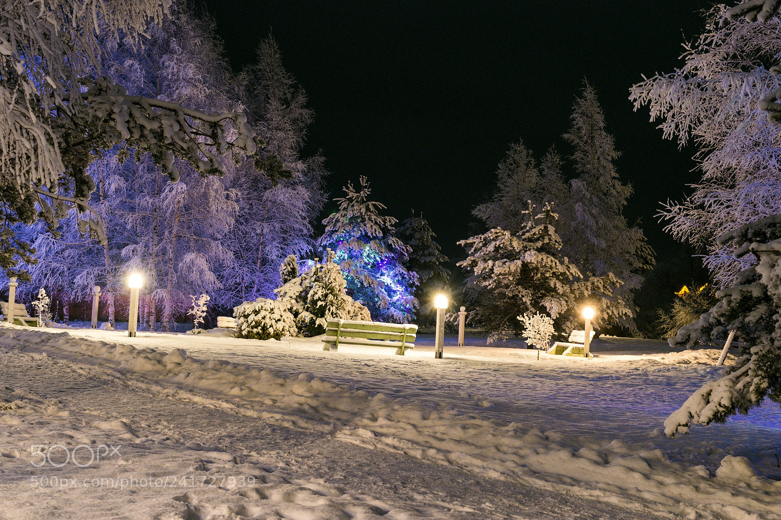 Nikon Df sample photo. Blue photography