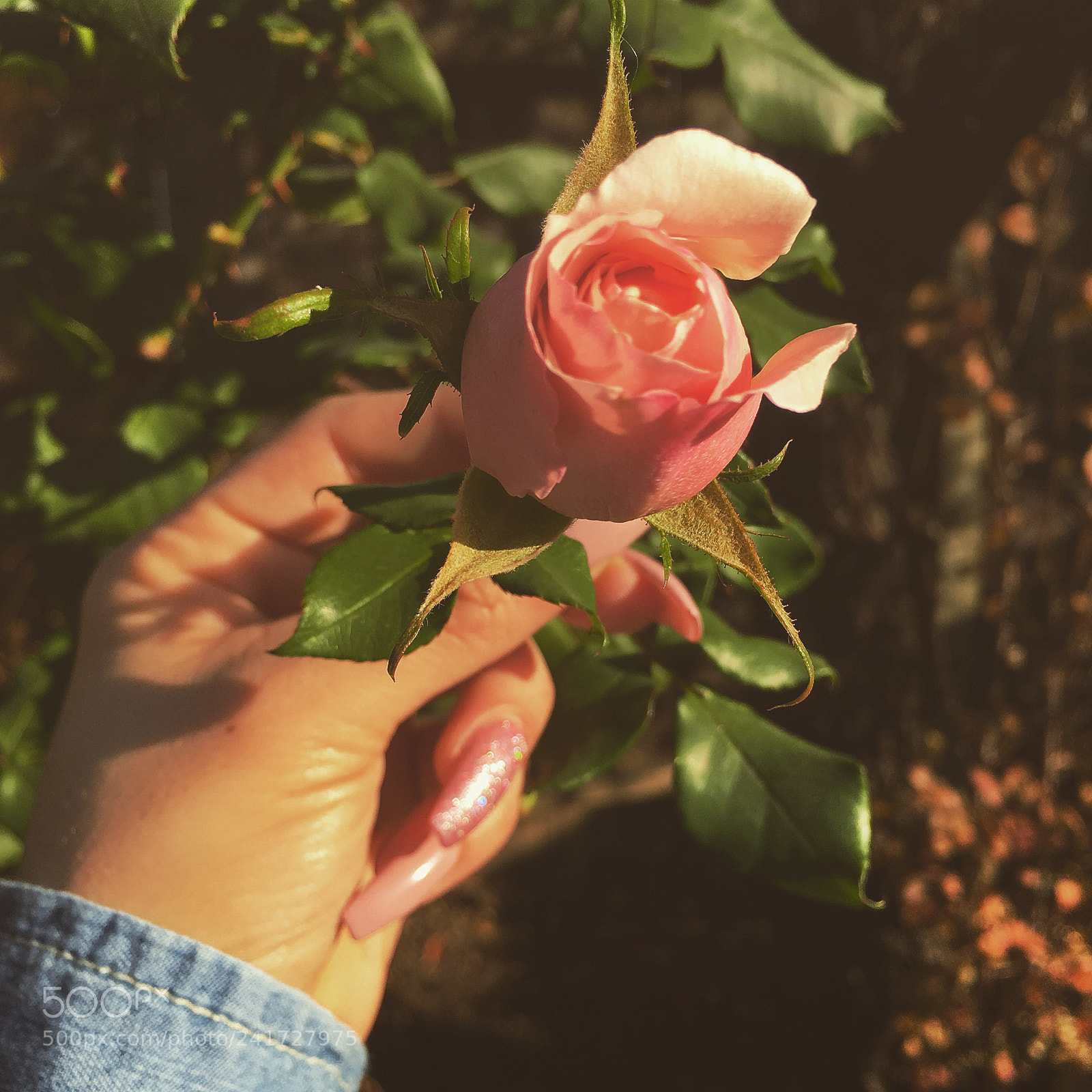 Apple iPhone 6s sample photo. De eddddcf photography