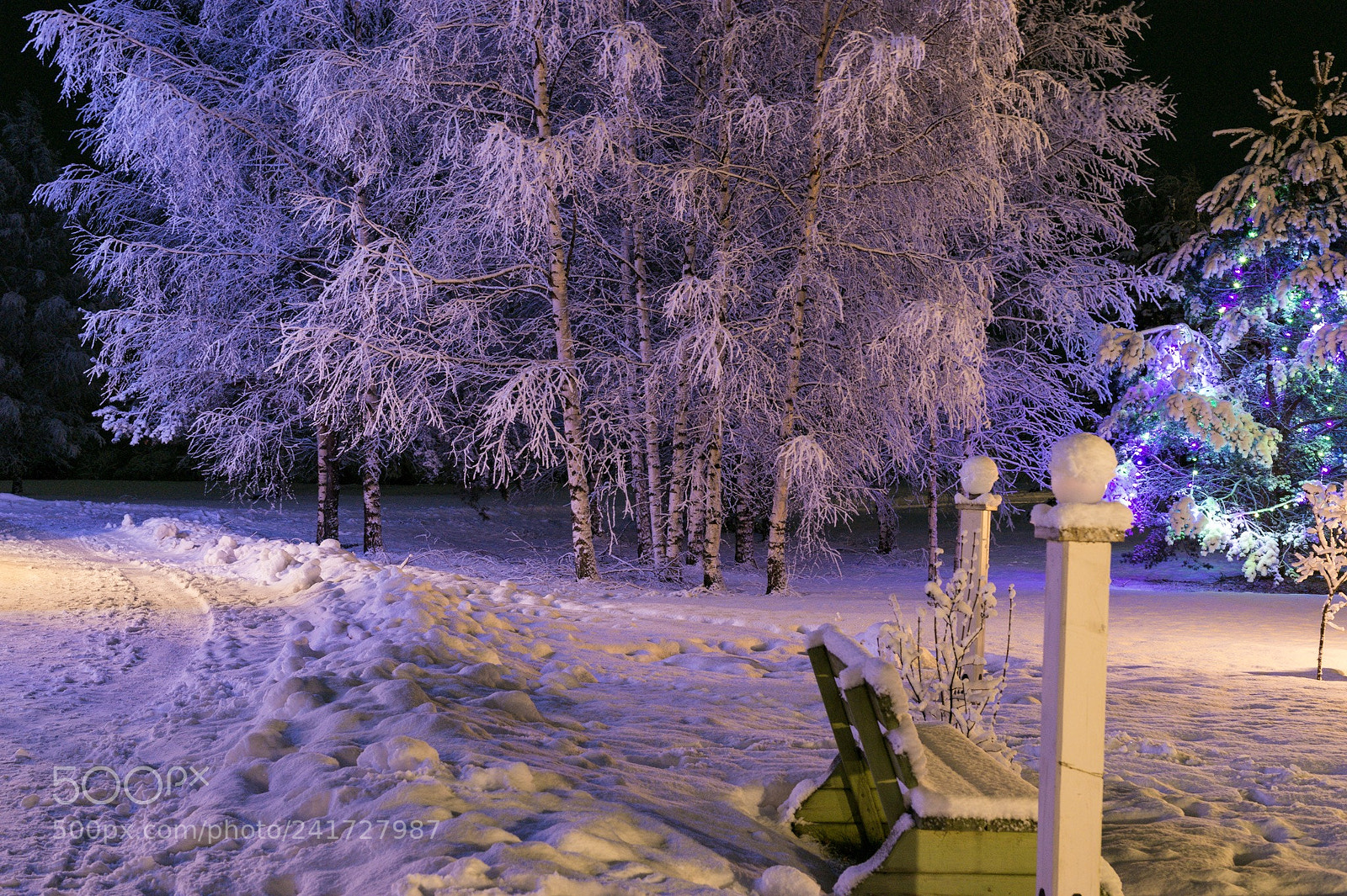 Nikon Df sample photo. Untitled photography