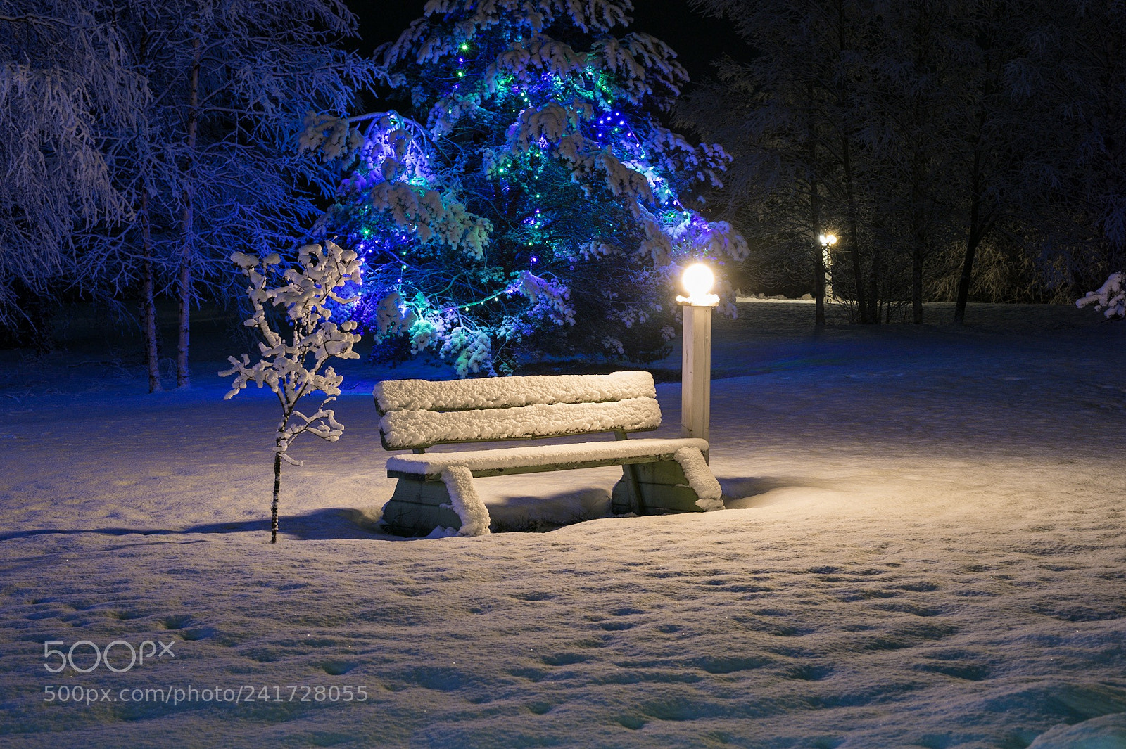 Nikon Df sample photo. Untitled photography
