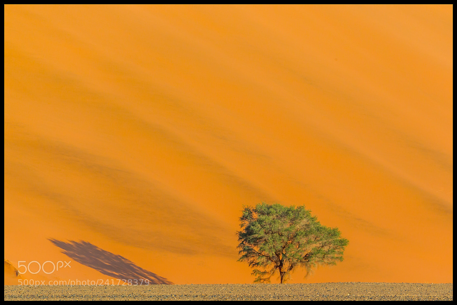 Canon EOS-1D Mark IV sample photo. Lonetree 3 photography