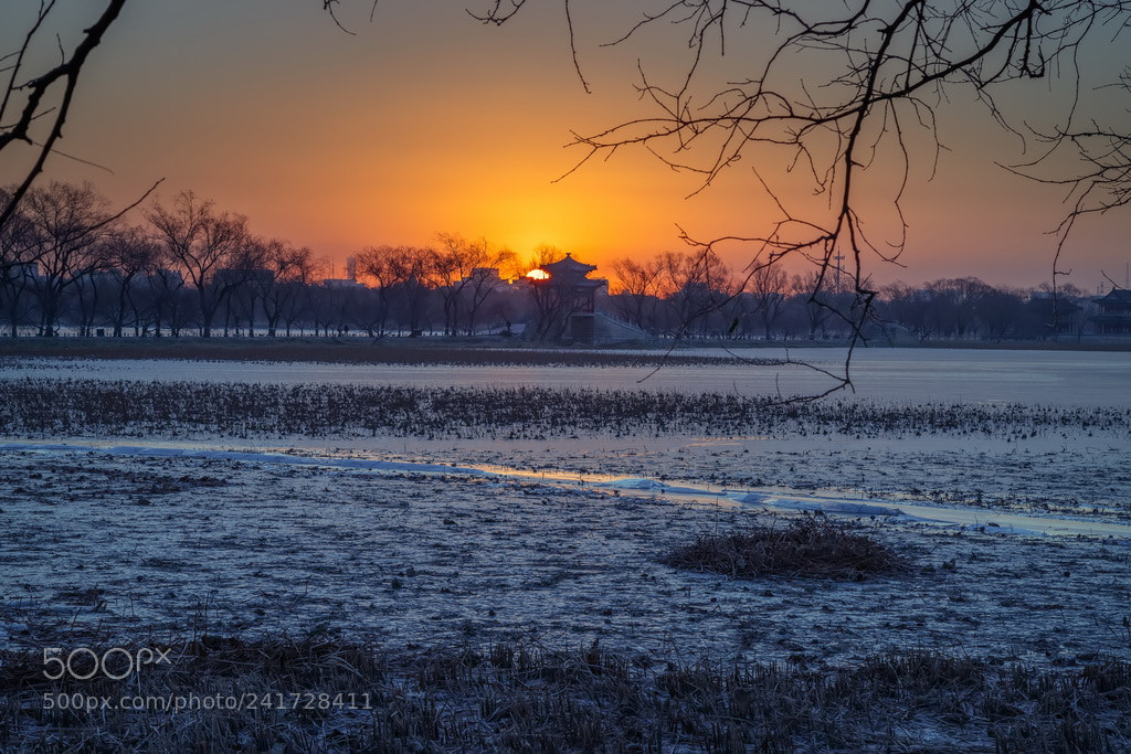 Canon EOS 6D Mark II sample photo. Sunrise photography