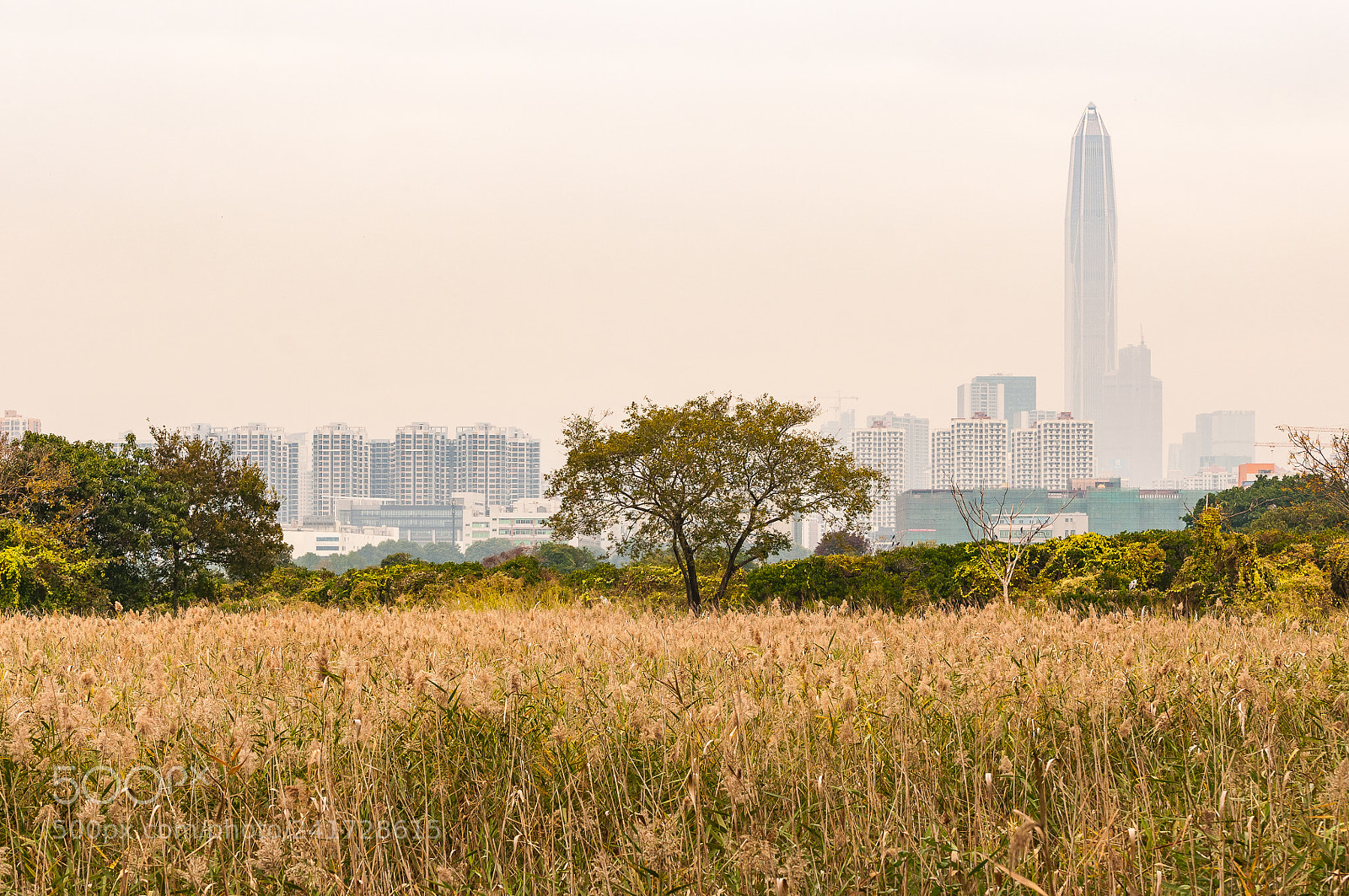 Nikon D300S sample photo. *** photography