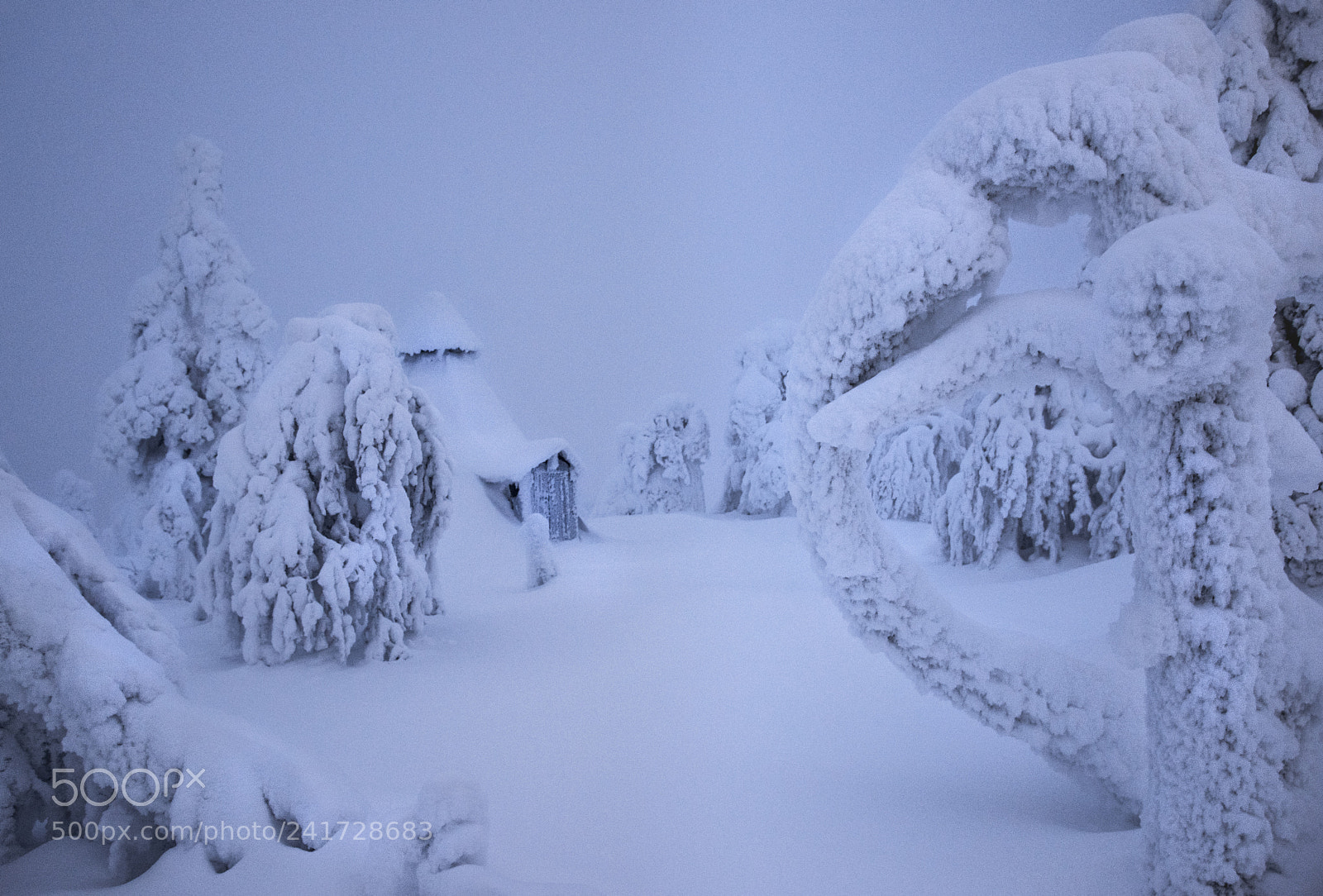 Nikon D810 sample photo. Trollhus... photography