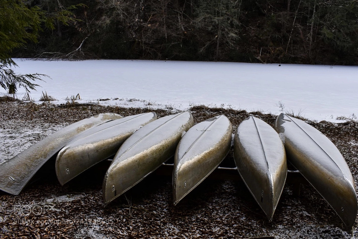 Nikon D3400 sample photo. Camp blanton in harlan photography