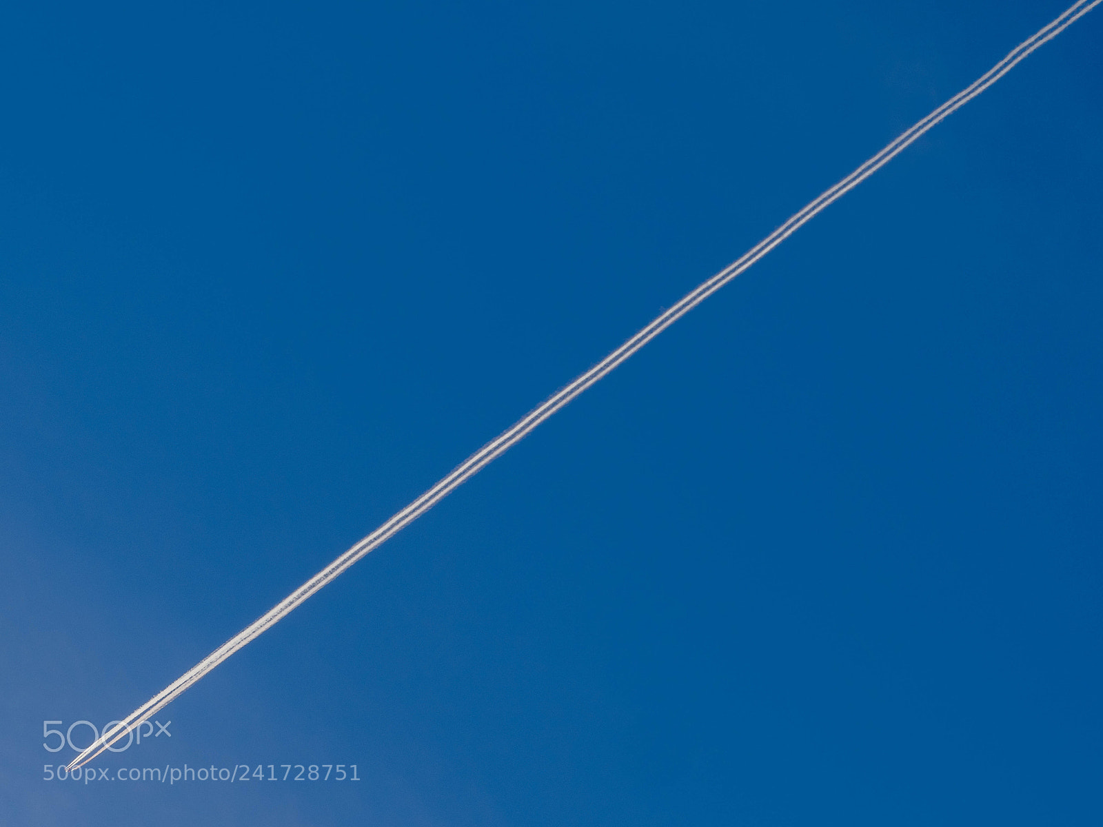 Olympus OM-D E-M1 Mark II sample photo. Blue skies...nothing but blue photography