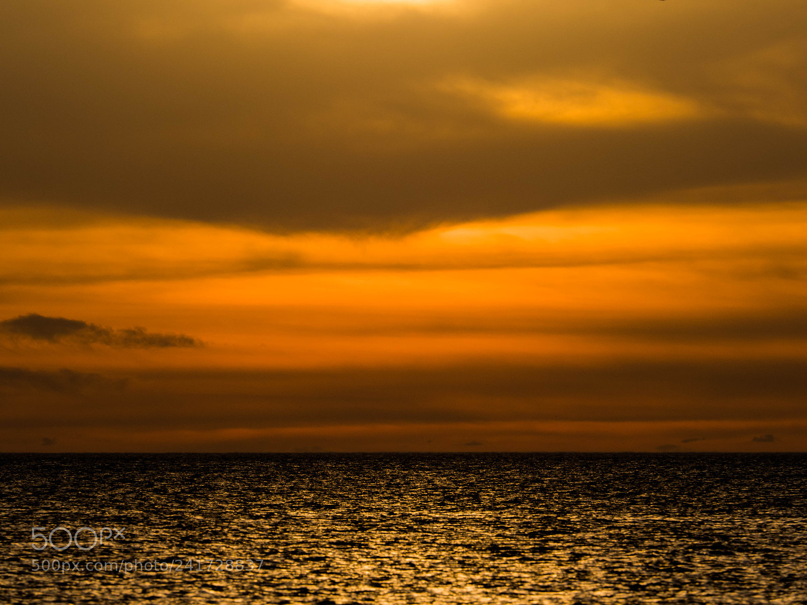 Olympus OM-D E-M1 Mark II sample photo. Burnt orange. photography