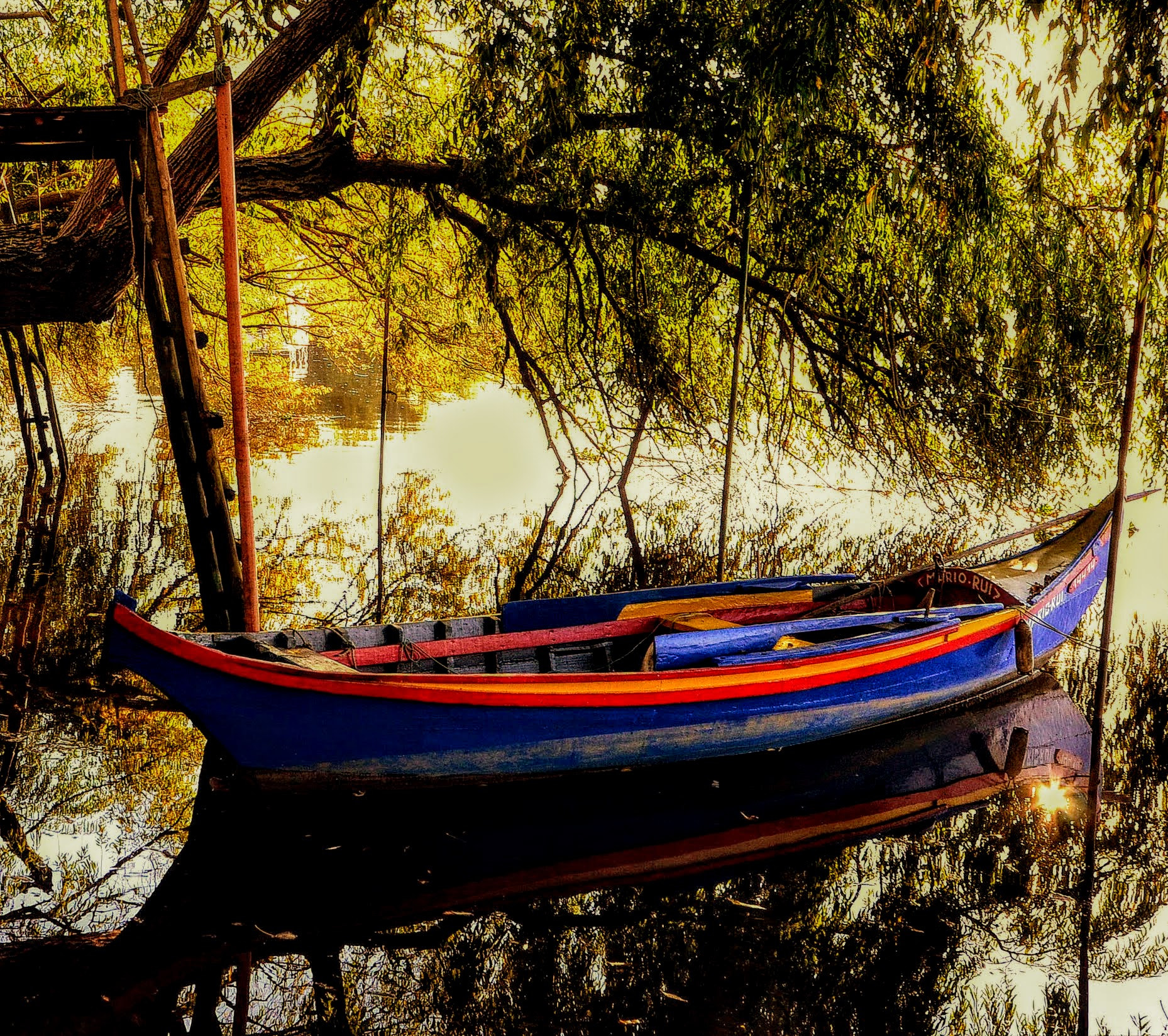 Nikon D5100 + Sigma 10-20mm F4-5.6 EX DC HSM sample photo. Boat in the forest! photography