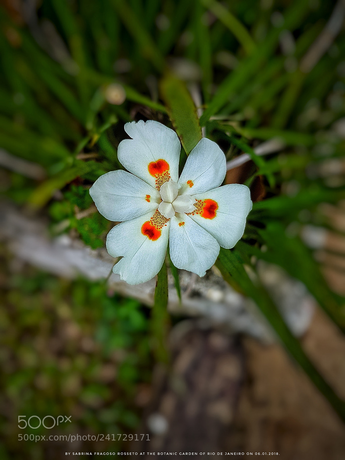Samsung Galaxy S7 sample photo. The simplicity is the photography