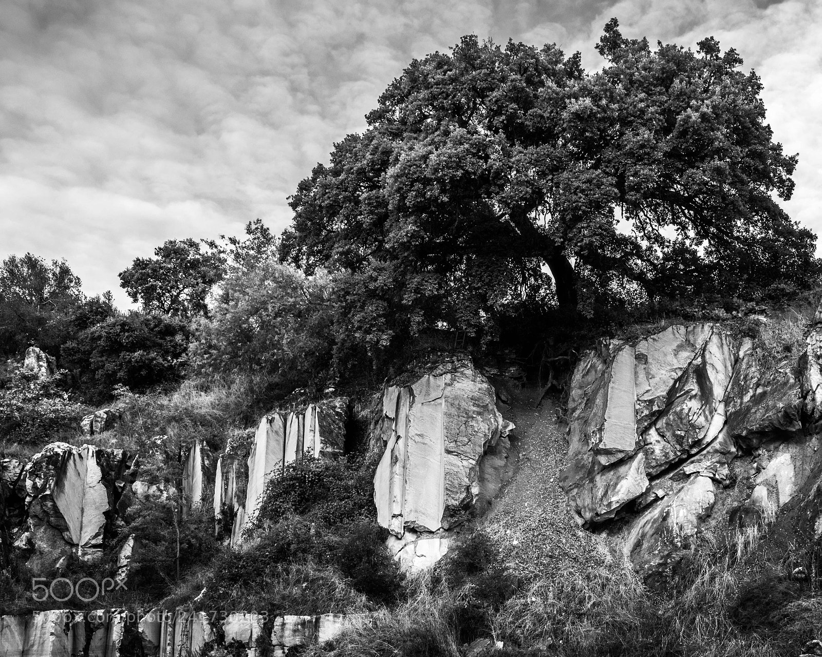 Nikon D5500 sample photo. The abandoned quarry photography