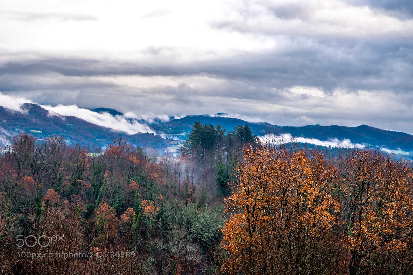 Nikon D5500 sample photo. Fairytale land photography