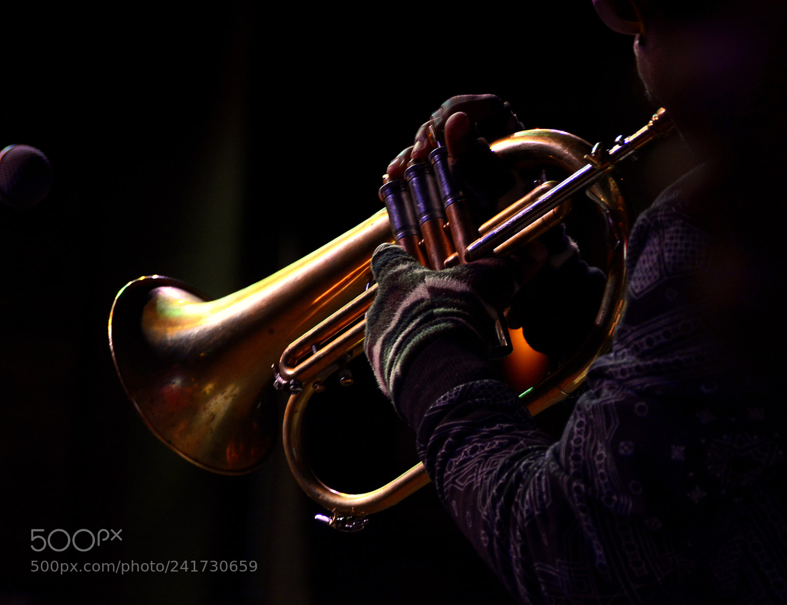 Nikon D7100 sample photo. Jazz 16 photography
