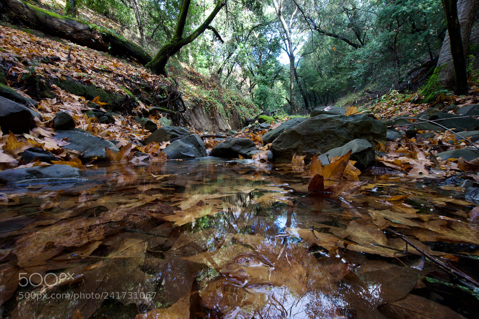 Sony a7 sample photo. Dry creek pioneer regional photography