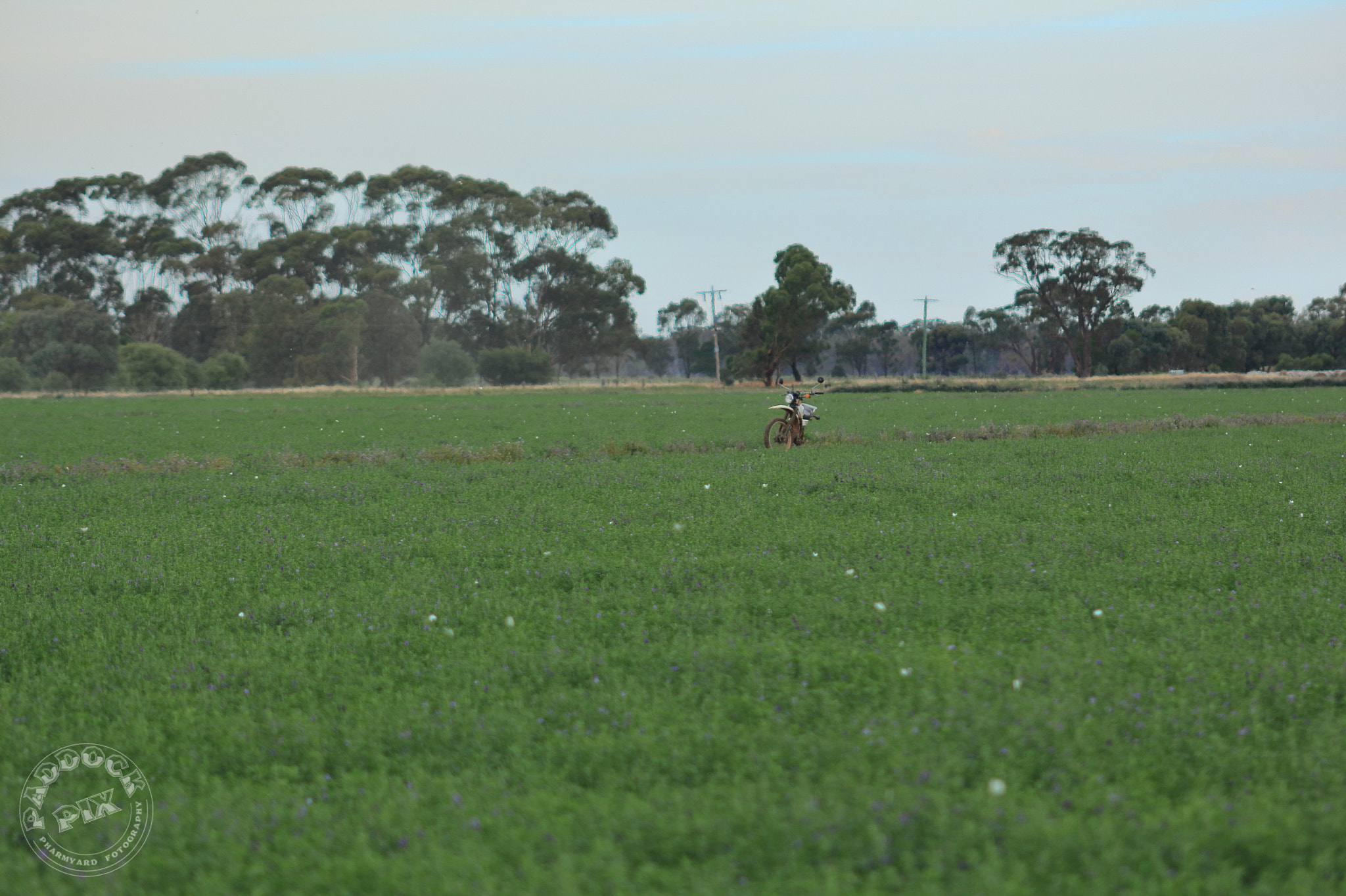 Canon EOS 650D (EOS Rebel T4i / EOS Kiss X6i) + EF75-300mm f/4-5.6 sample photo. "bike field" photography