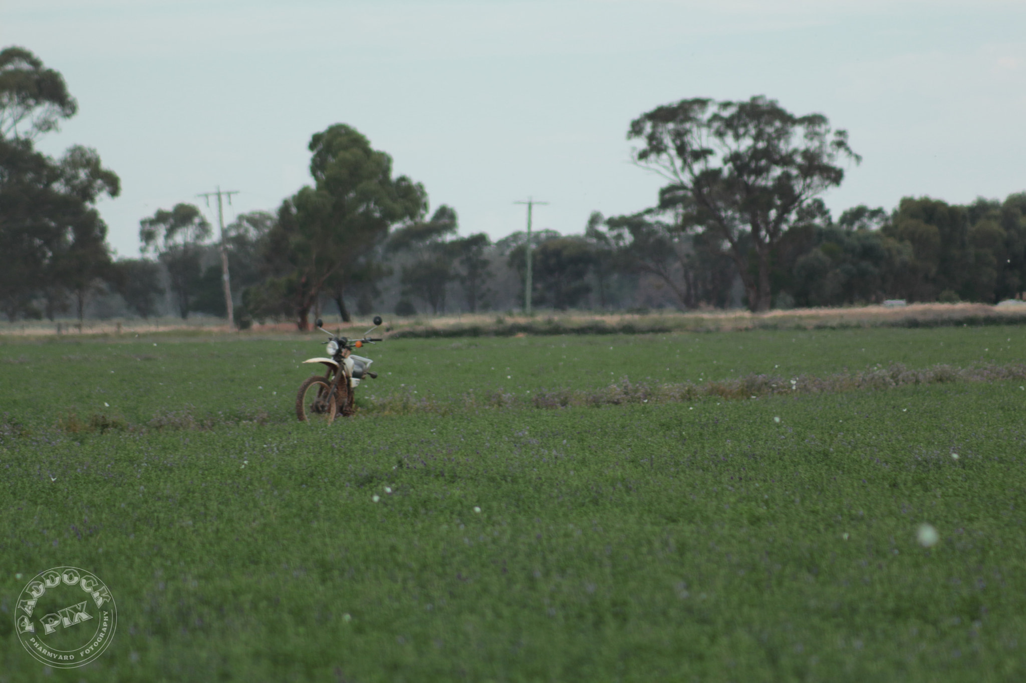 EF75-300mm f/4-5.6 sample photo. "bike field 2" photography