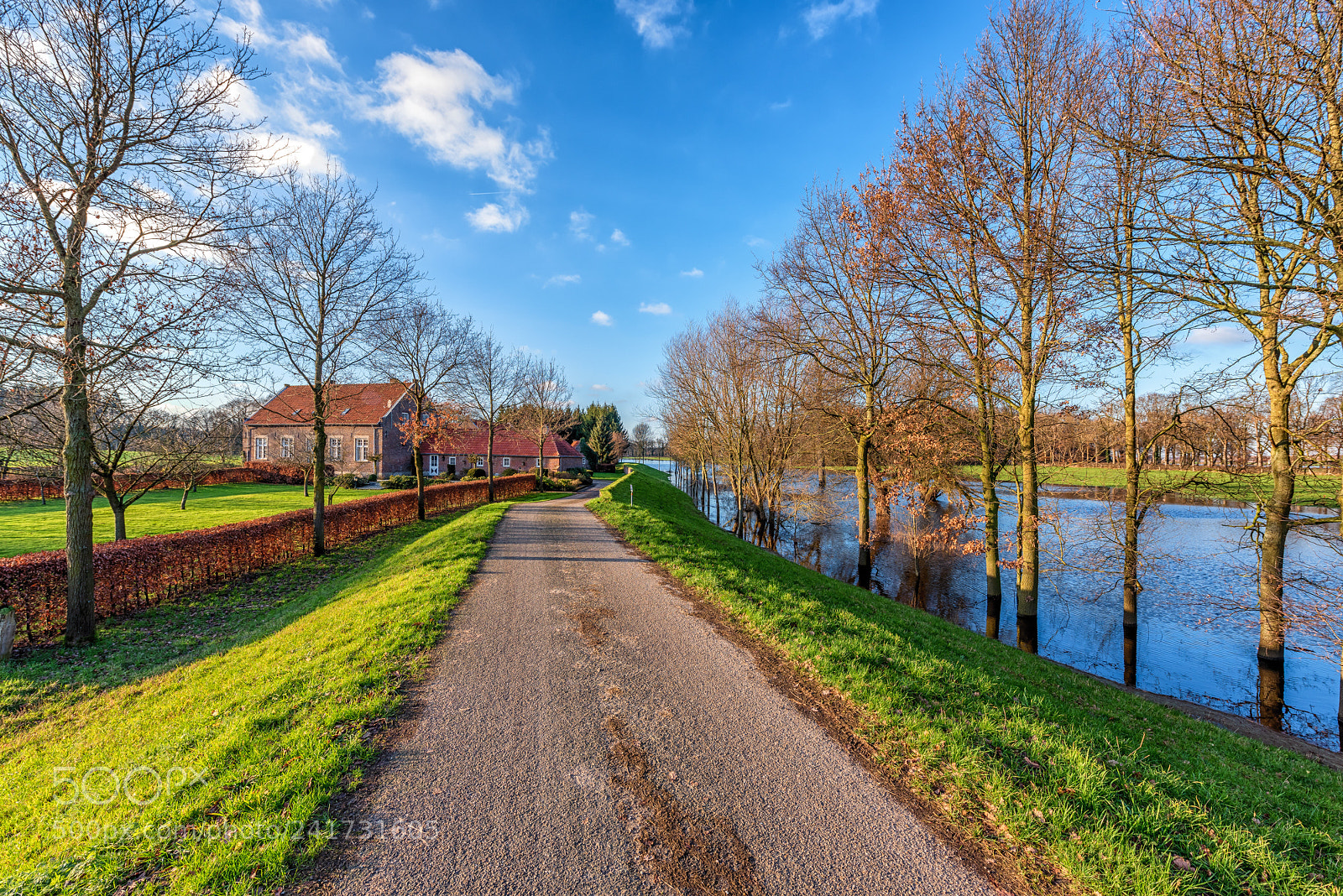 Nikon D810 sample photo. Dike protect homes against photography