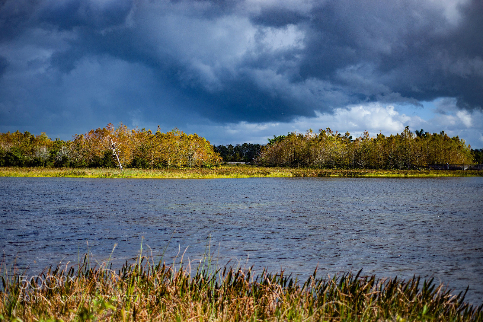 Nikon D800E sample photo. Green cay wetlands photography