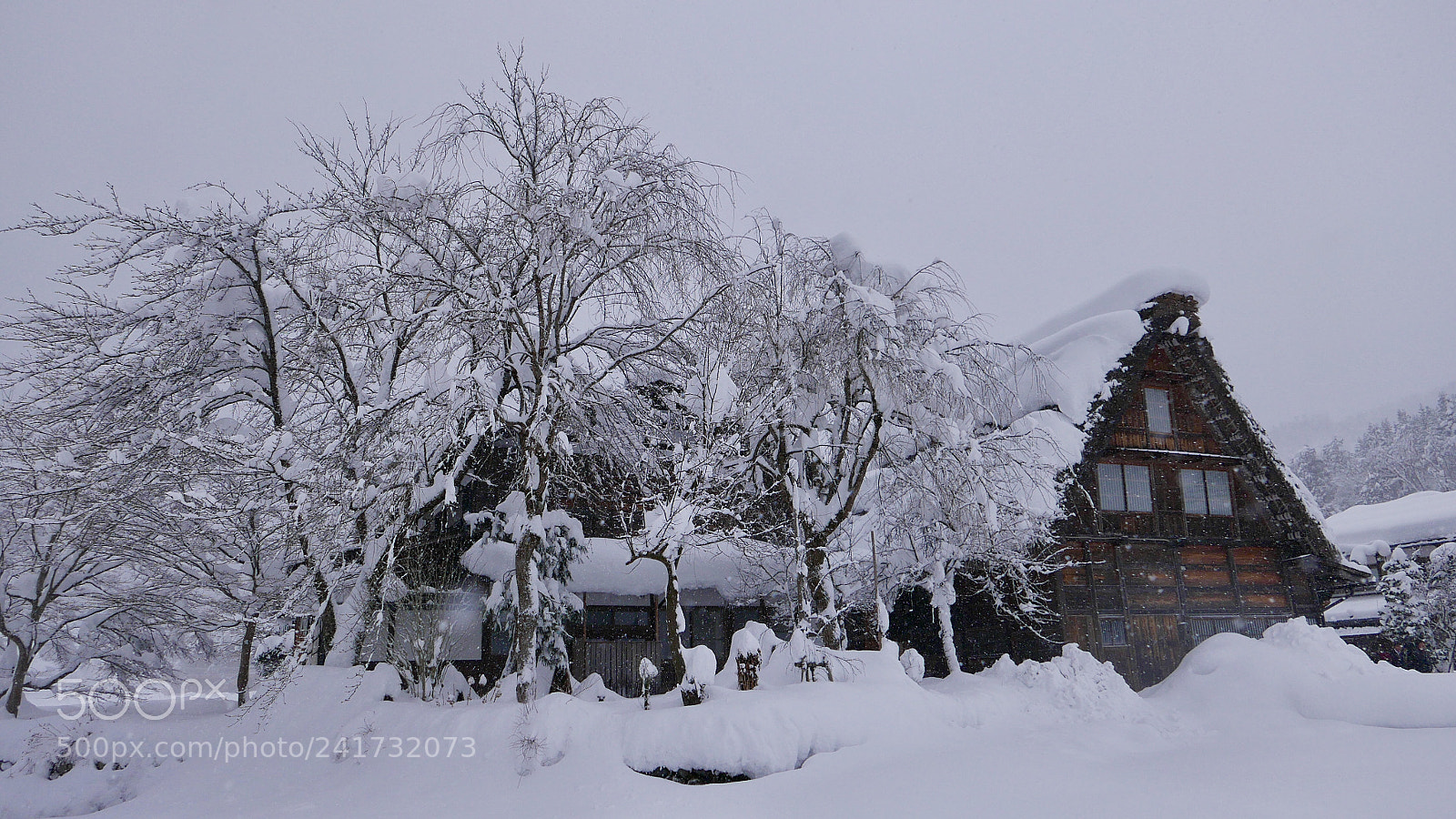 Leica D-Lux (Typ 109) sample photo. 合掌屋。。。 photography
