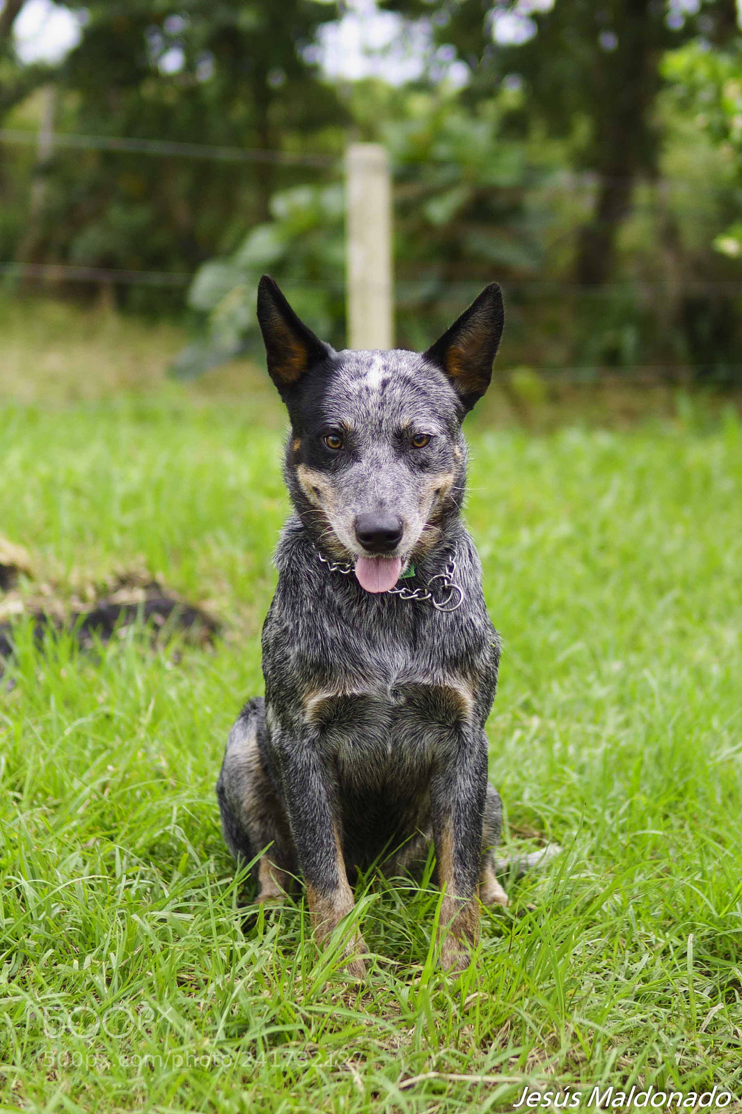 Sony Alpha NEX-7 sample photo. Logan... photography