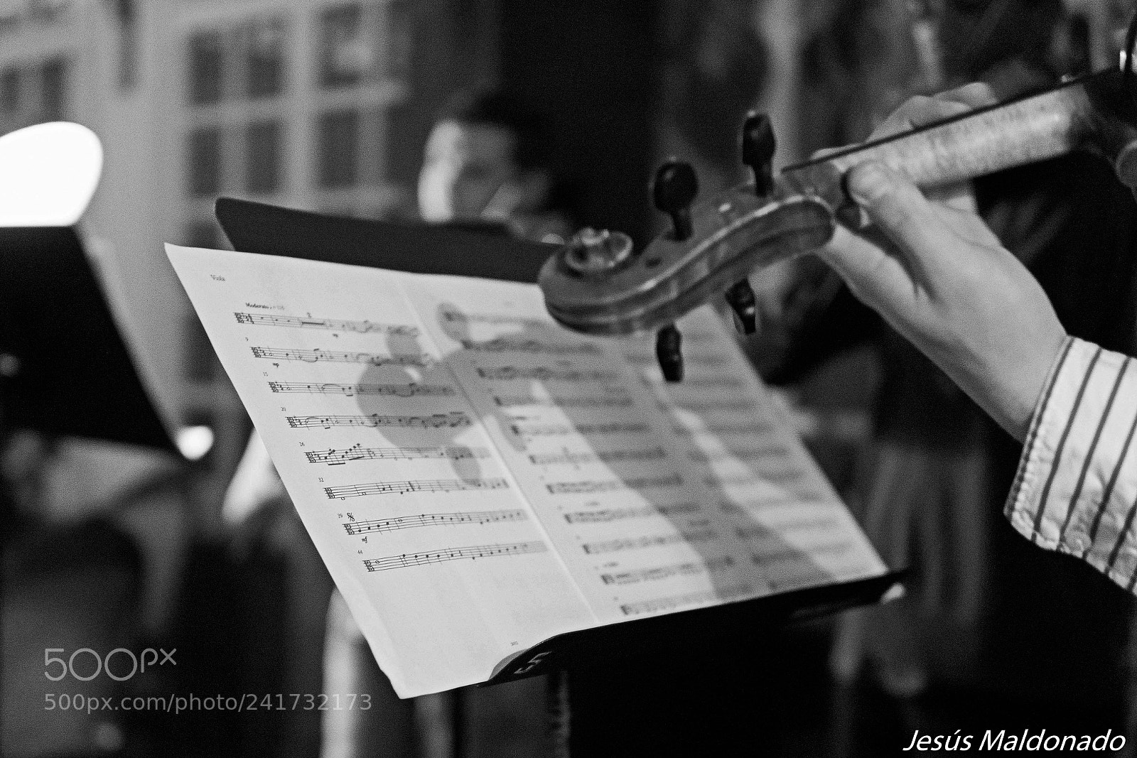Sony Alpha NEX-7 sample photo. La partitura... photography