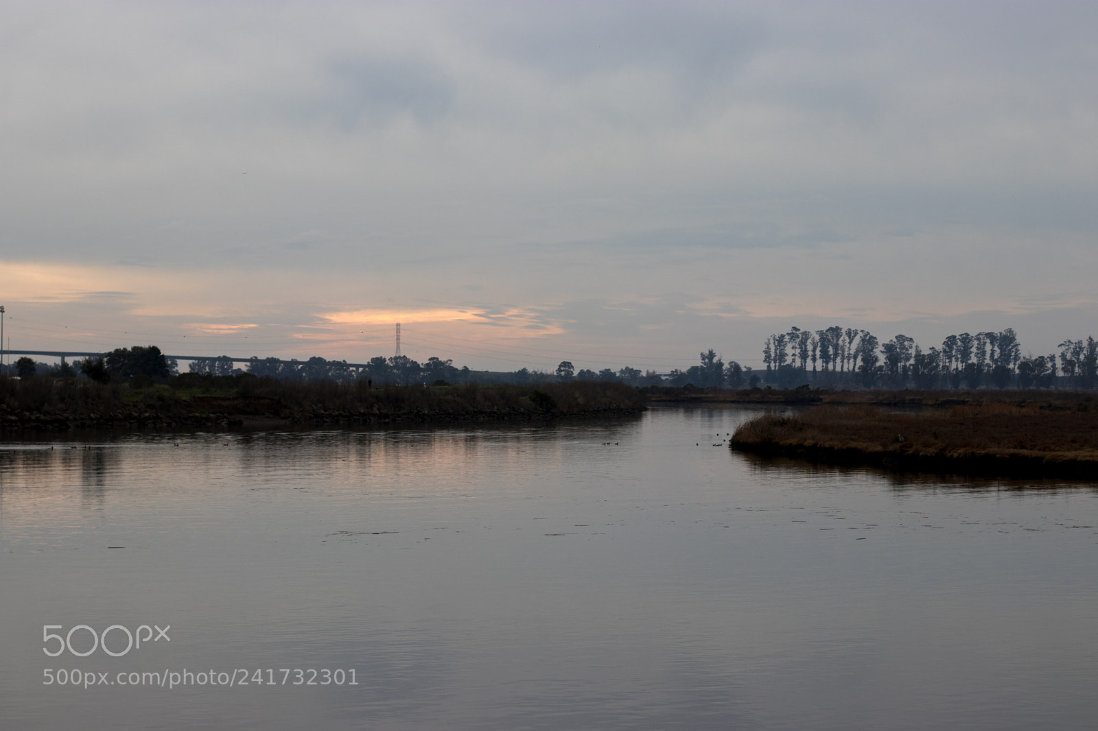 Canon EOS 800D (EOS Rebel T7i / EOS Kiss X9i) sample photo. Napa river photography