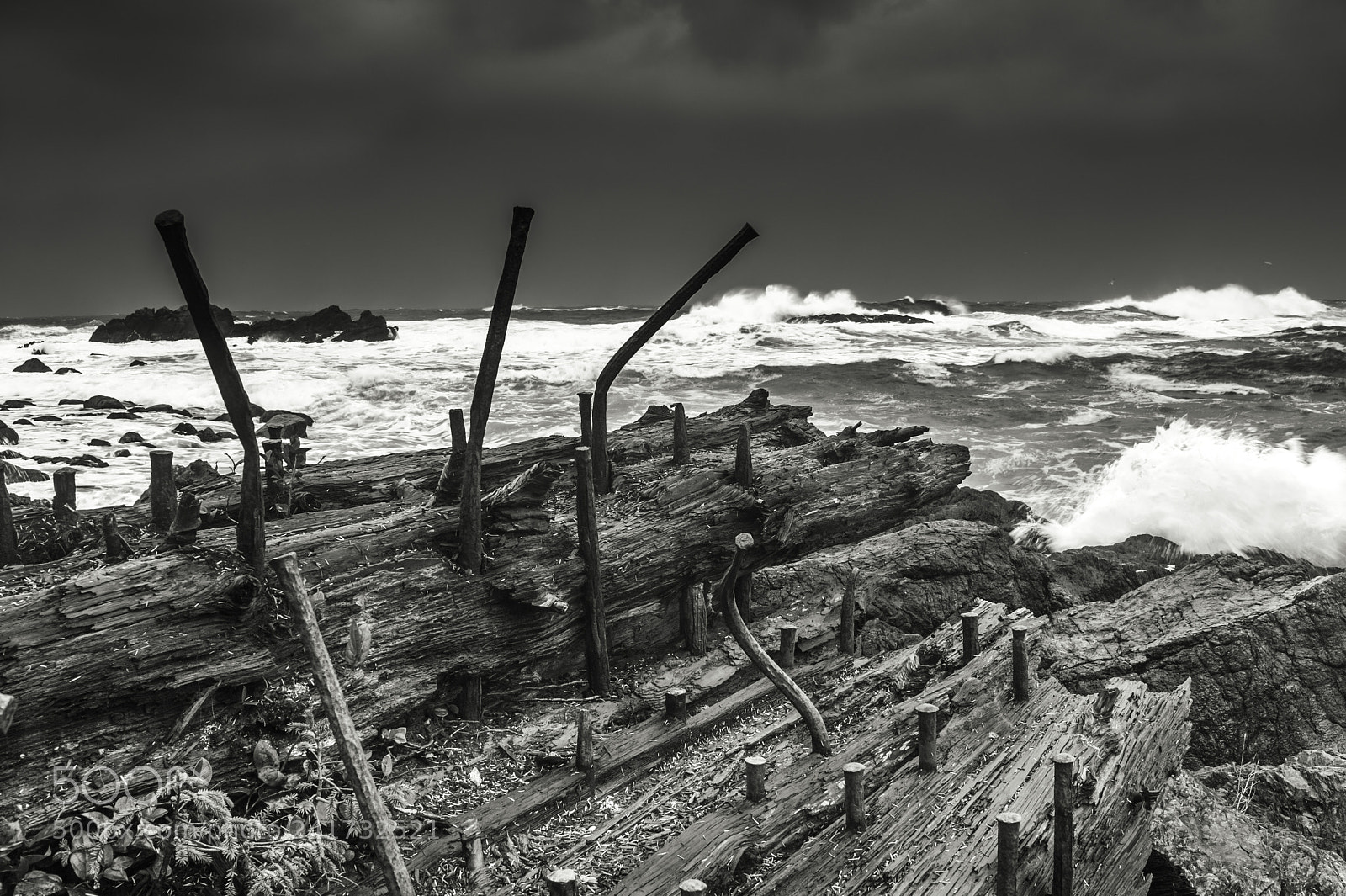 Nikon D700 sample photo. Ucluelet b/w art photography