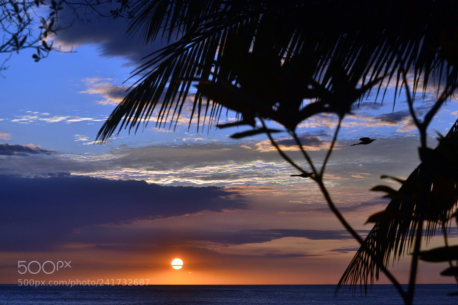 Nikon D3100 sample photo. Sunset photography